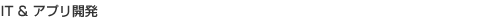 �C���^�[�l�b�g��IT����